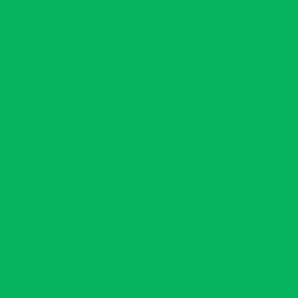Bright Jade Dyed Merino 5.131