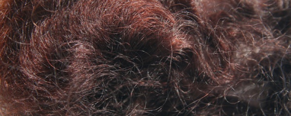 Ashford Dye - Brown