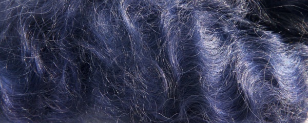 Ashford Dye - Navy Blue