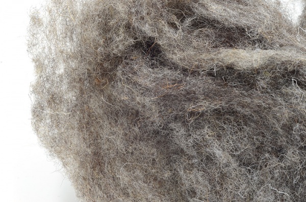 Core / Stuffing Wool Grey WFSG