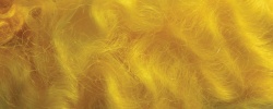 Ashford Dye - Yellow