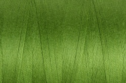 Ashford Weaving Yarn:  Cedar Green Unmercerised 5/2