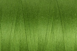 Ashford Weaving Yarn:  Cedar Green Unmercerised 5/2