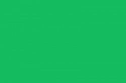Landscape Dye: Fern