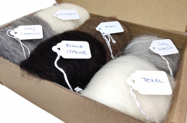 Natural Wools Selection Pack<br> *Includes Free UK Shipping*